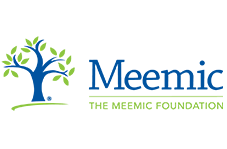 Image result for meemic foundation