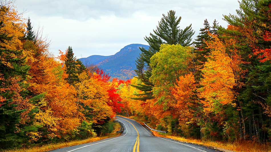 autumn
