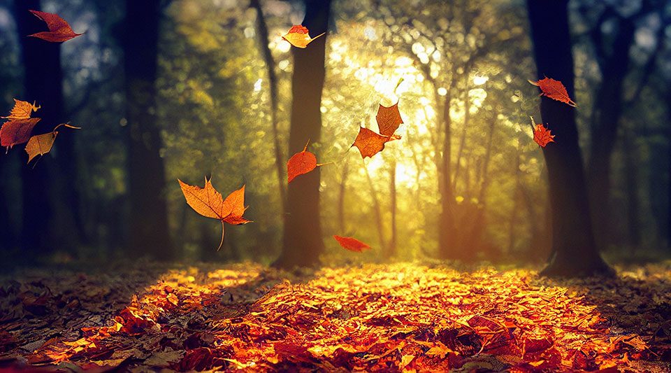 High Winds Expand Across Northern Plains And Upper Midwest